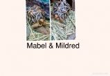Rehomed...Indian Star : Both young approx 3 years old (Mabel & Mildred)
